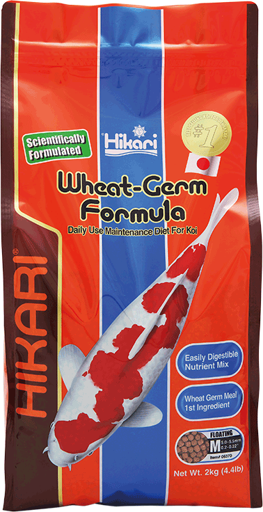 Hikari Wheat Germ