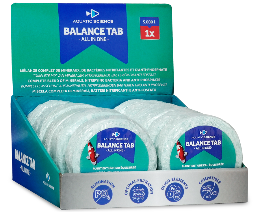 Balance Tab