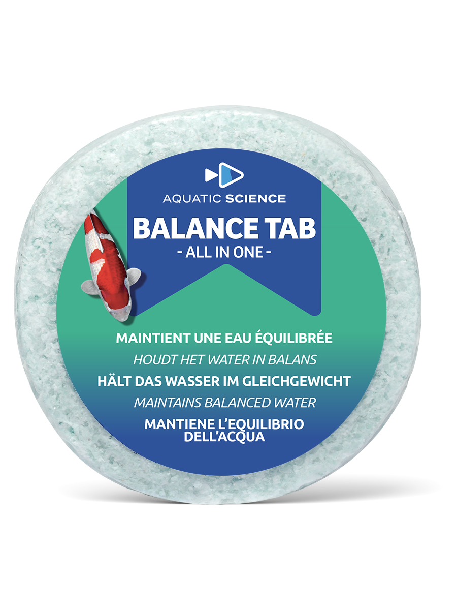 Balance Tab